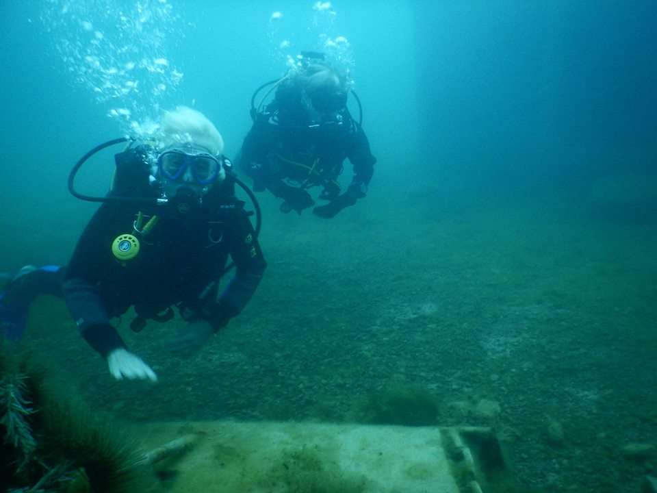 Ocean Diver | 54 Weald Way, Caterham CR3 6EJ, UK | Phone: 07711 266476