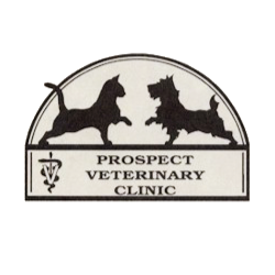 Prospect Veterinary Clinic | 411 S Jefferson St, Frederick, MD 21701, USA | Phone: (301) 695-1050