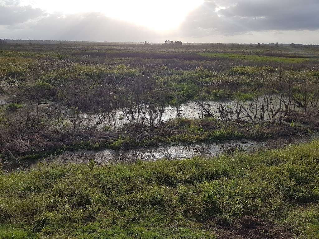 Ocklawaha Prairie Restoration Area | 7910 SE 137th Avenue Rd, Ocklawaha, FL 32179