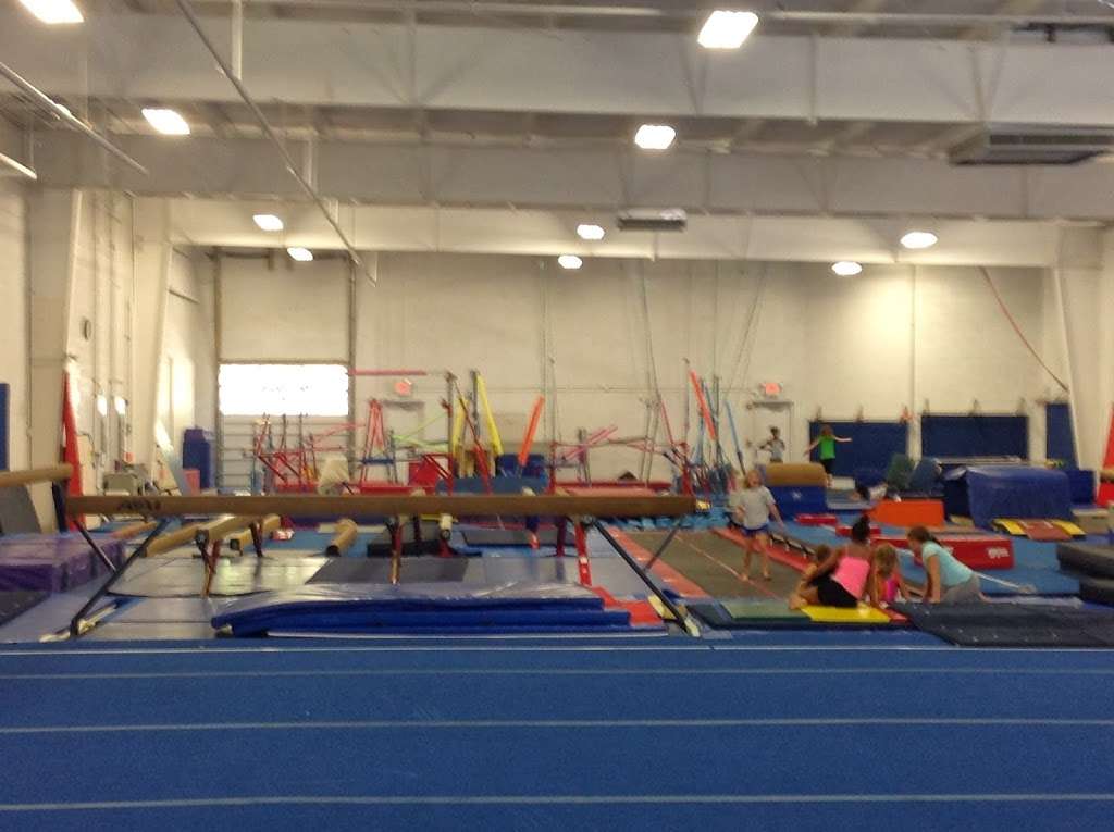 Win Win Gymnastics | 1710 Midway Rd, Odenton, MD 21113 | Phone: (410) 551-5396