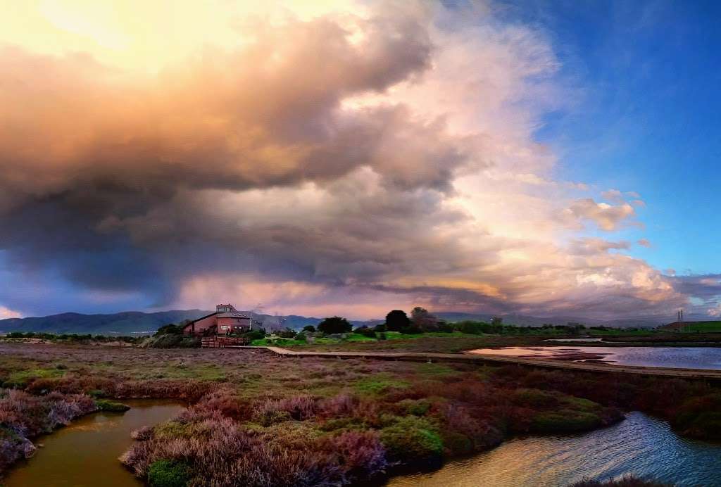 Don Edwards San Francisco Bay National Wildlife Refuge Environme | 1751 Grand Blvd, San Jose, CA 95002, USA | Phone: (408) 262-5513