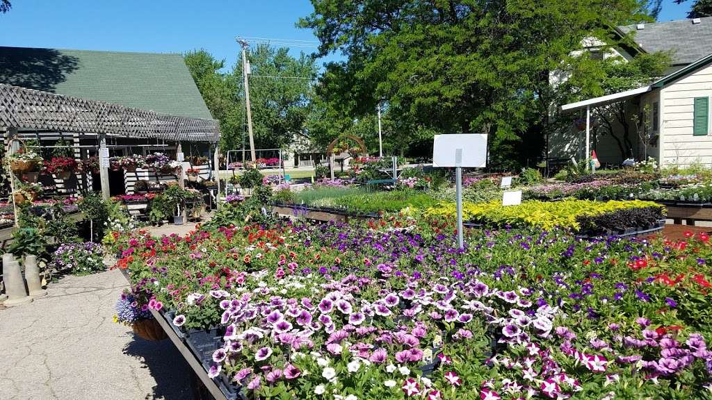 Busy Bs Garden Center | W7449 Co Rd X, Delavan, WI 53115, USA | Phone: (262) 749-3030