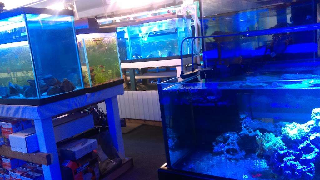 Aquarium World | 1512 Meetinghouse Rd, Upper Chichester, PA 19061, USA | Phone: (610) 485-3189