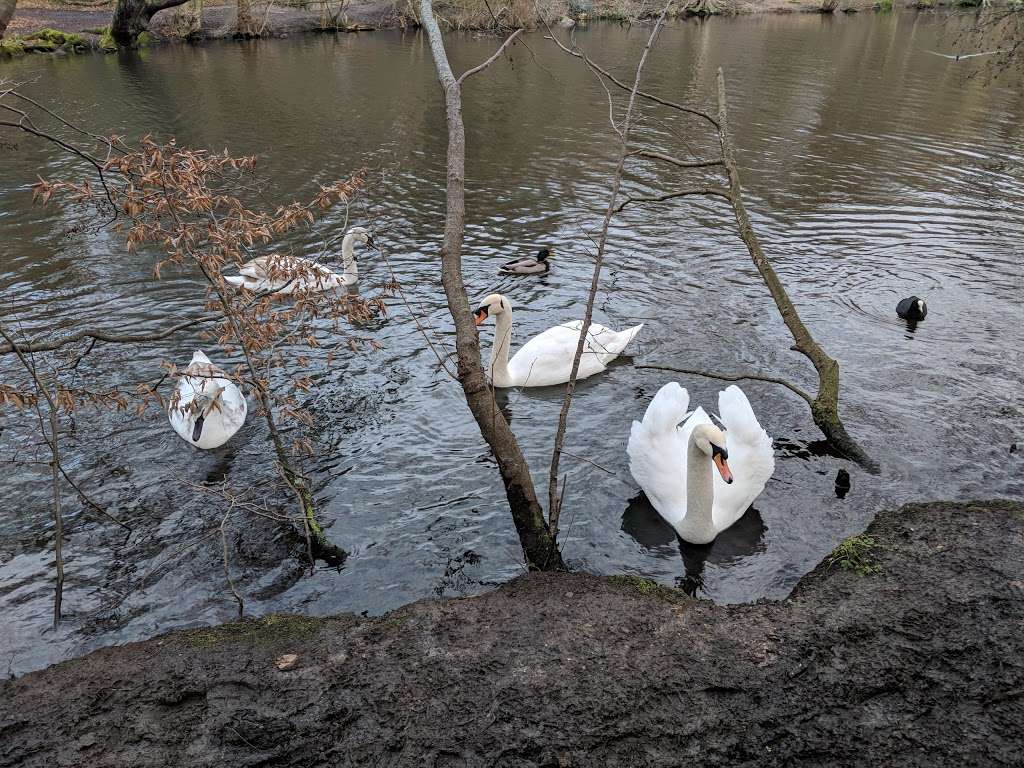 Highams Park Lake | Woodford Green IG8 9RF, UK