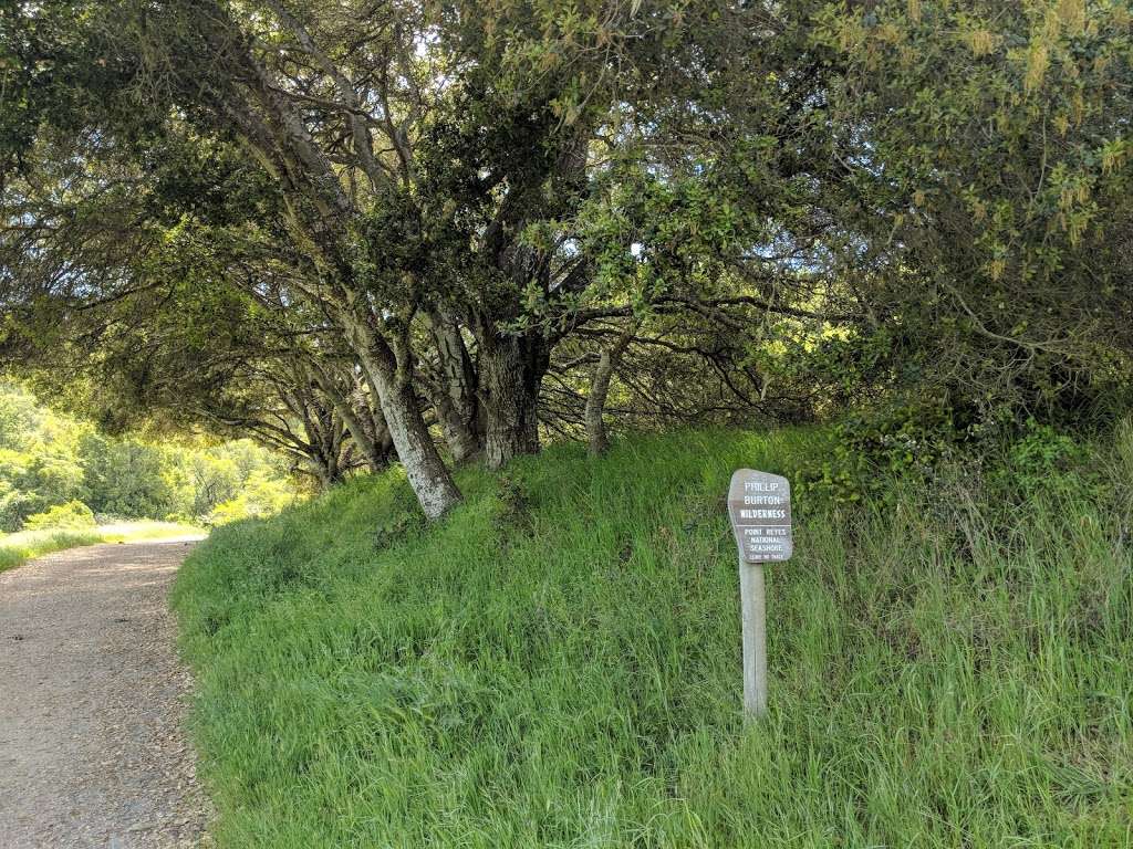 Bear Valley Trailhead | Bear Valley Visitor Center Access Road, Point Reyes Station, CA 94956, USA