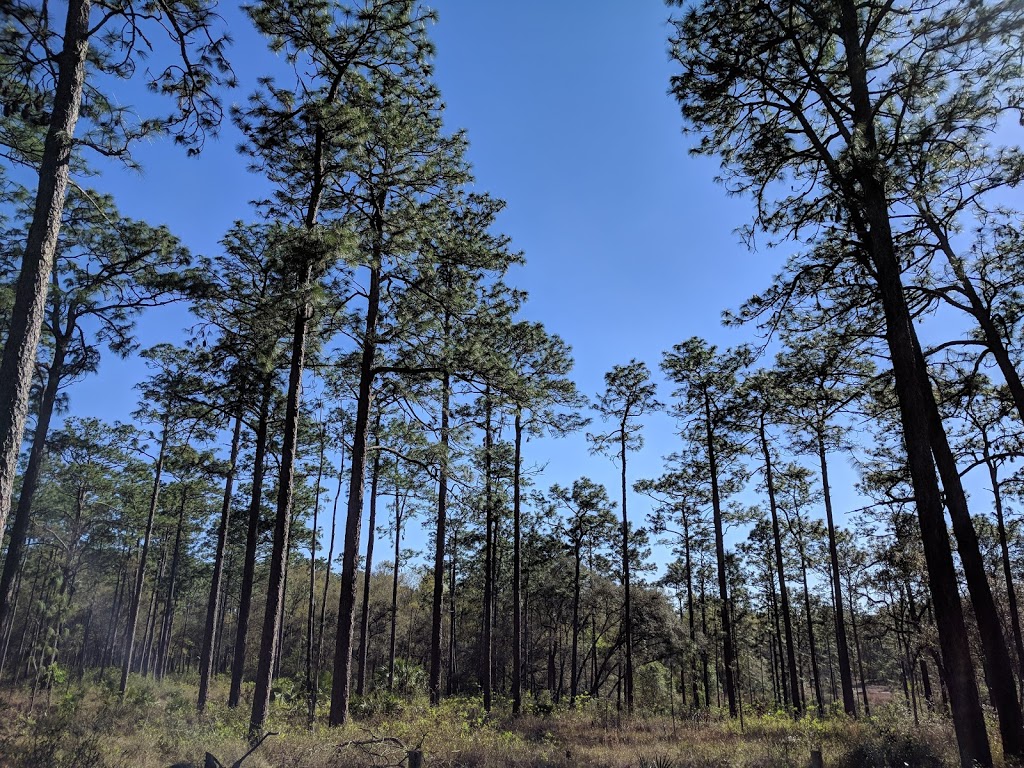 Clearwater Trailhead, FT | Florida Trail, Paisley, FL 32767