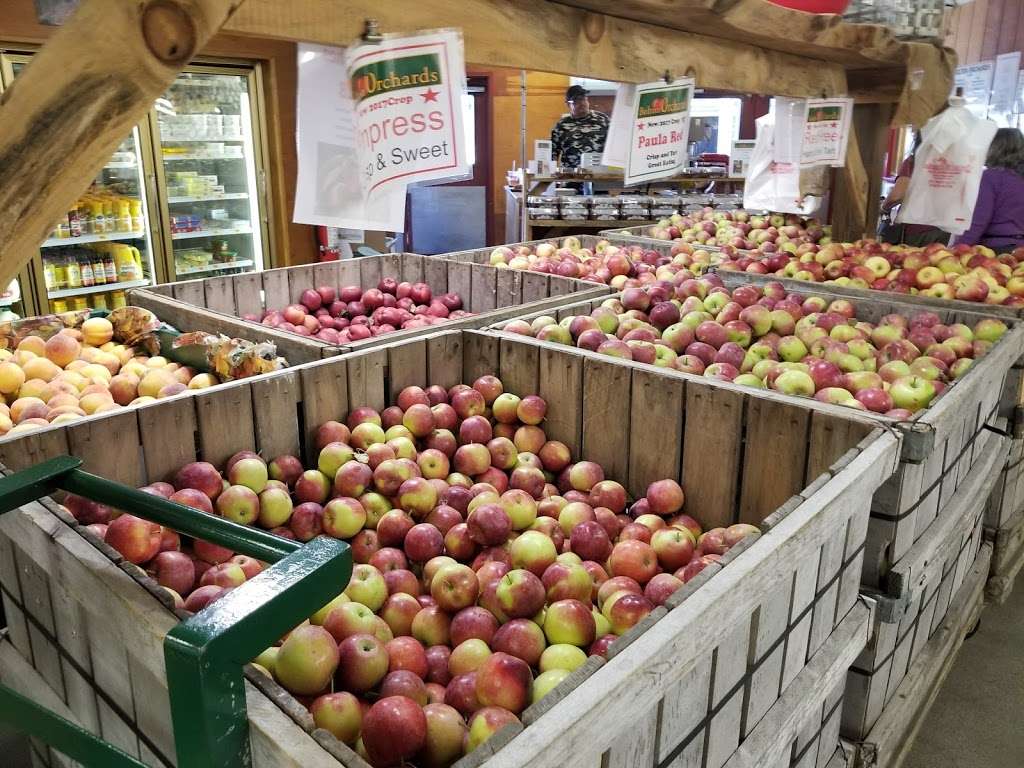 Bolton Orchards | 125 Still River Rd, Bolton, MA 01740, USA | Phone: (978) 779-2733