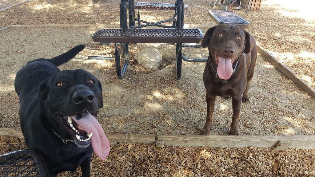 Rancho Caninos Dog Park | 30940 Hawthorne Blvd, Rancho Palos Verdes, CA 90275, USA | Phone: (310) 544-5260