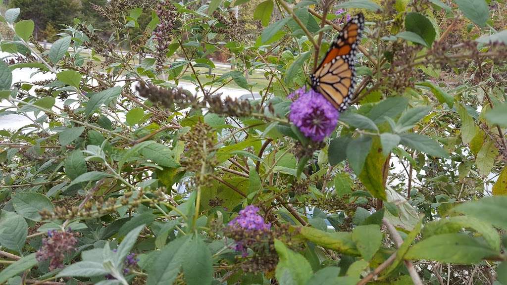 Kings Mountain Greenway Trail | Quarry Rd, Kings Mountain, NC 28086, USA