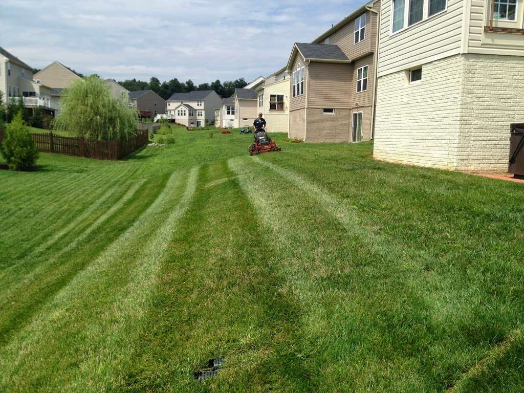 Cornerstone Lawn Services LLC | 154 Wolfcraft Way, Charles Town, WV 25414, USA | Phone: (304) 707-0437