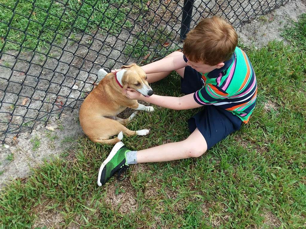 Doctors Dog Park | 21 N Highland Ave, Apopka, FL 32703, USA | Phone: (407) 703-1784