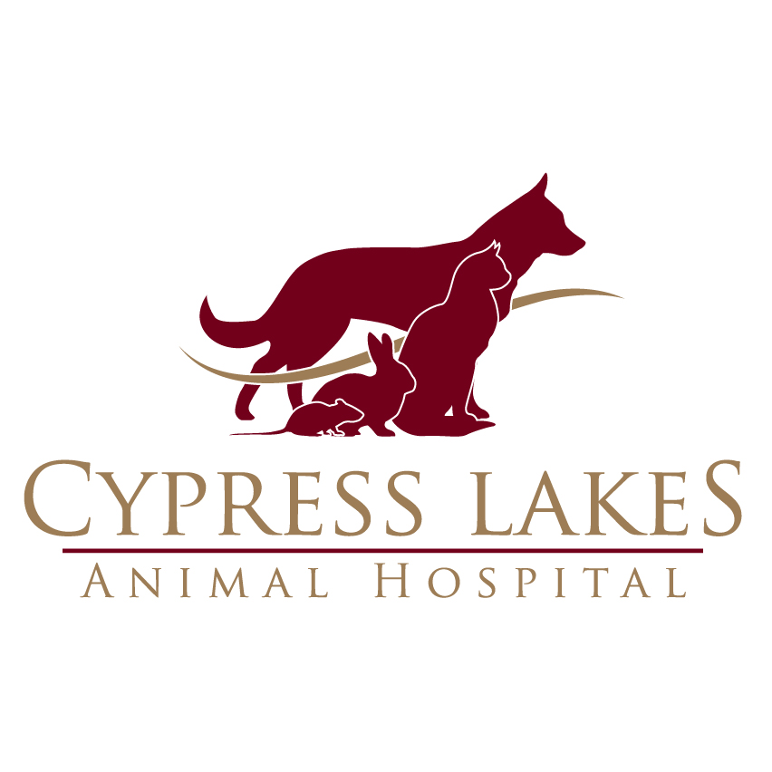 Cypress Lakes Animal Hospital | 10920 Fry Rd #750, Cypress, TX 77433 | Phone: (832) 220-1582