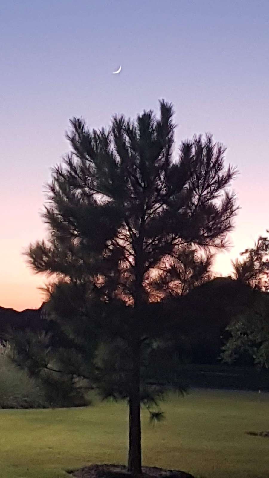 Bridgeland Dog Park | 17330 E Creekside Bend Dr, Cypress, TX 77433, USA