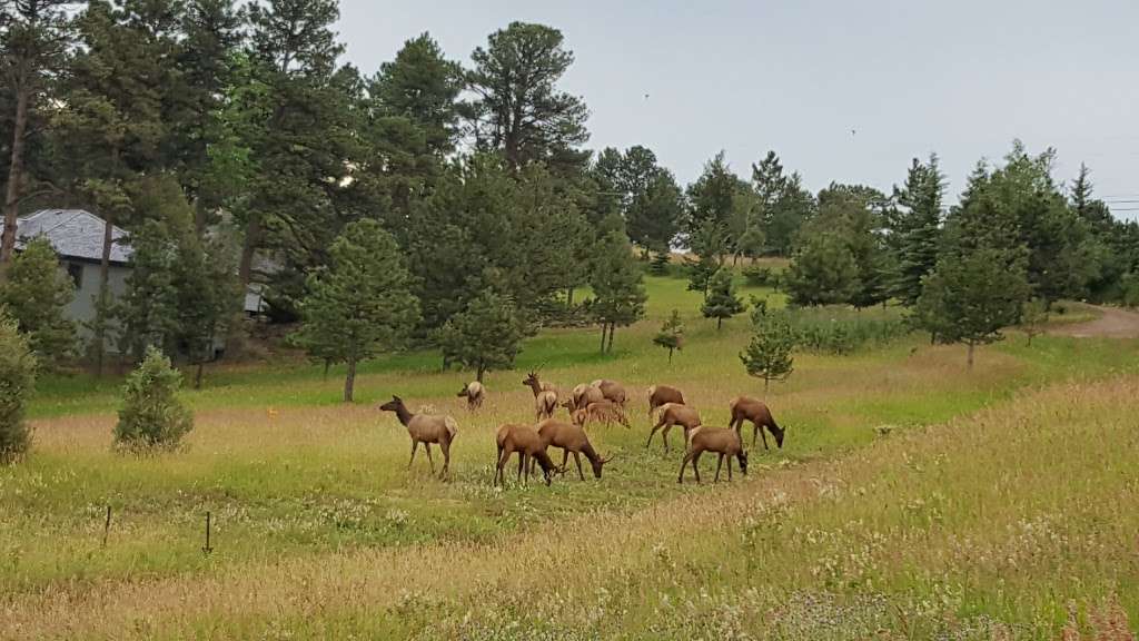 Lookout Mountain Nature Center and Preserve | 910 Colorow Rd, Golden, CO 80401, USA | Phone: (720) 497-7600