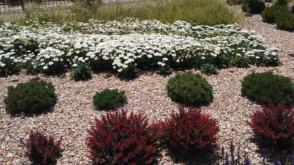 Fort Collins Colorado Temple - The Church of Jesus Christ of Lat | 2180 Majestic Dr, Fort Collins, CO 80528, USA | Phone: (970) 797-4630