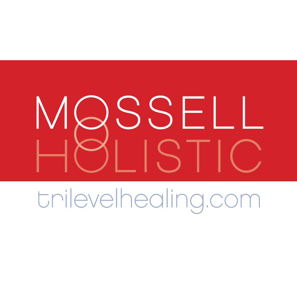 Mossell Holistic | 8128 W 143rd St, Orland Park, IL 60462 | Phone: (847) 768-9635