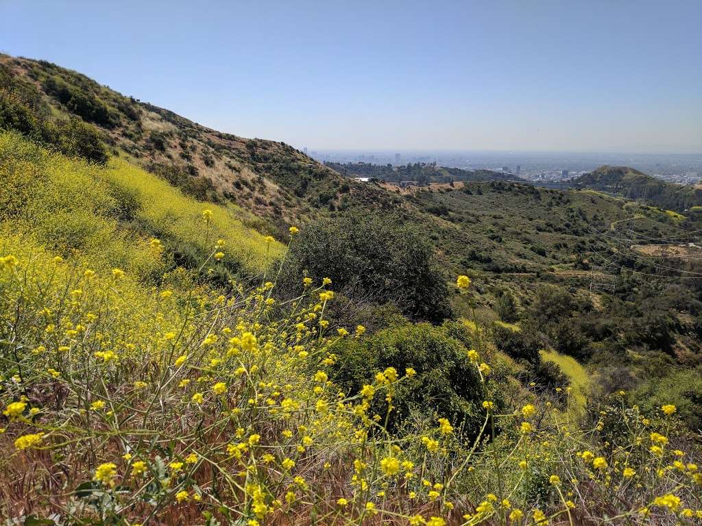 Wonder View Trail Head | Wonder View Dr, Los Angeles, CA 90068, USA