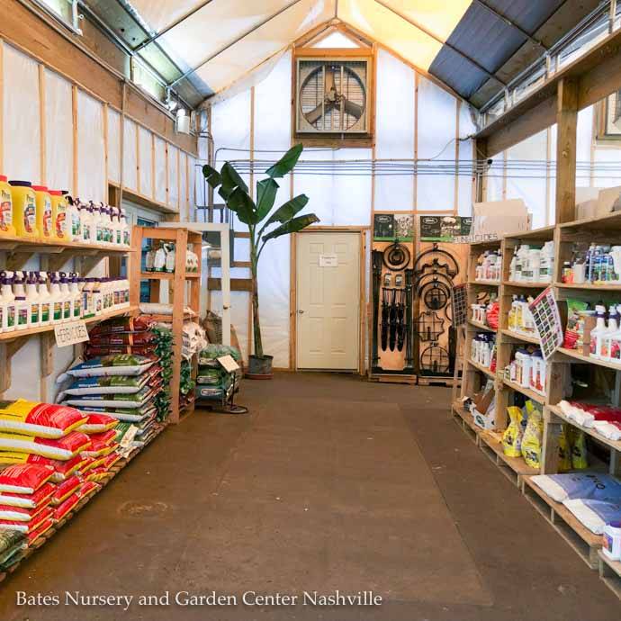 Bates Nursery and Garden Center | 3810 Whites Creek Pike, Nashville, TN 37207, USA | Phone: (615) 876-1014