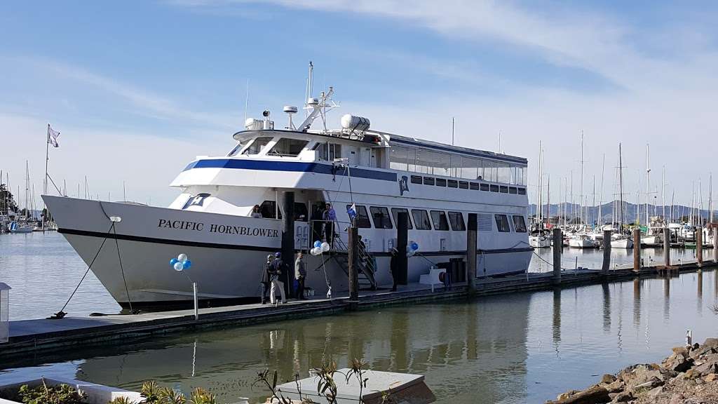 City Cruises Berkeley | 200 Marina Blvd, Berkeley, CA 94710 | Phone: (415) 788-8866