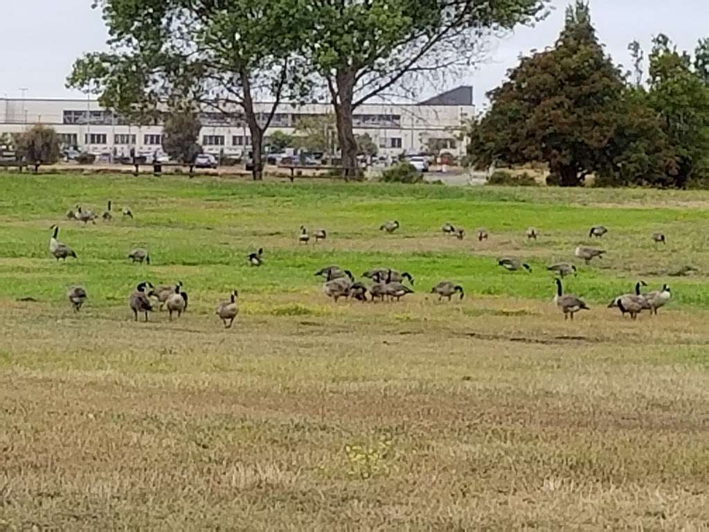 MLK Jr Shoreline Center | Oakland, CA 94621