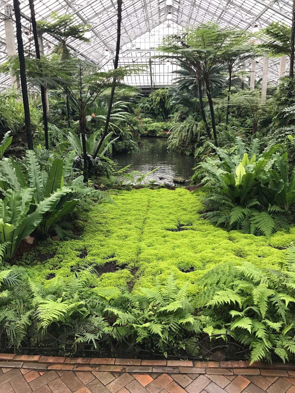 Garfield Park Conservatory Gift Shop | 300 N Central Park Ave, Chicago, IL 60624, USA | Phone: (312) 746-5100
