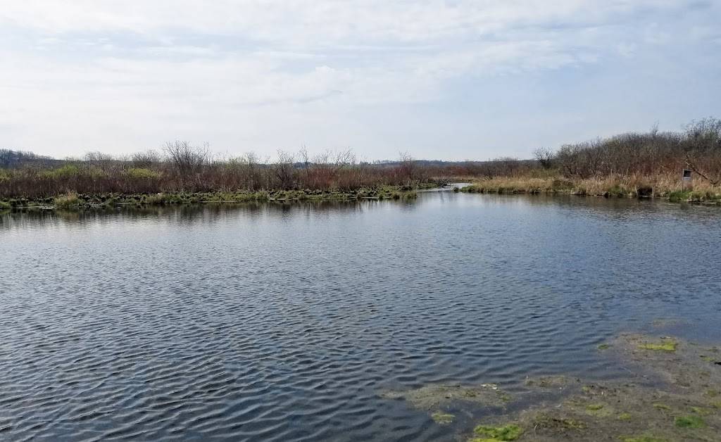 Waubesa Wetlands State Natural Area | Oregon, WI 53575 | Phone: (888) 936-7463