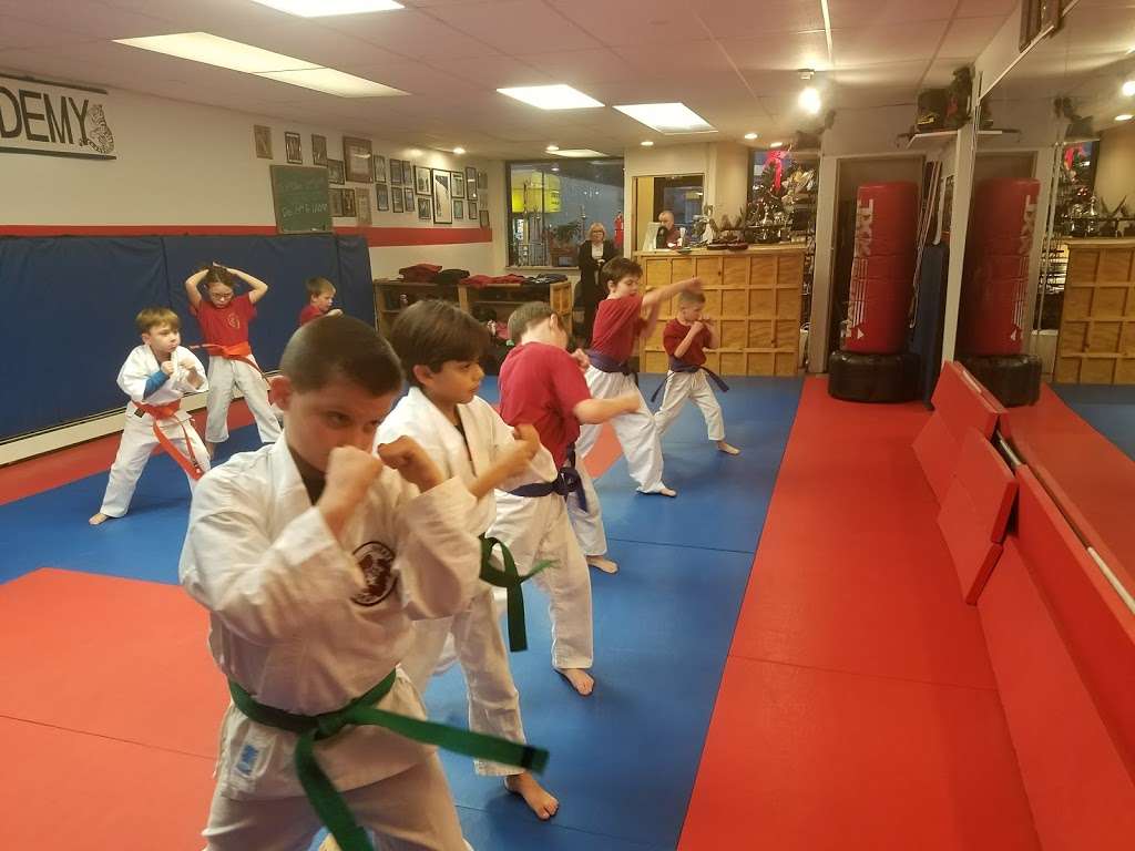 US Karate Academy | 326 Long Beach Rd, Island Park, NY 11558, USA | Phone: (516) 431-8293