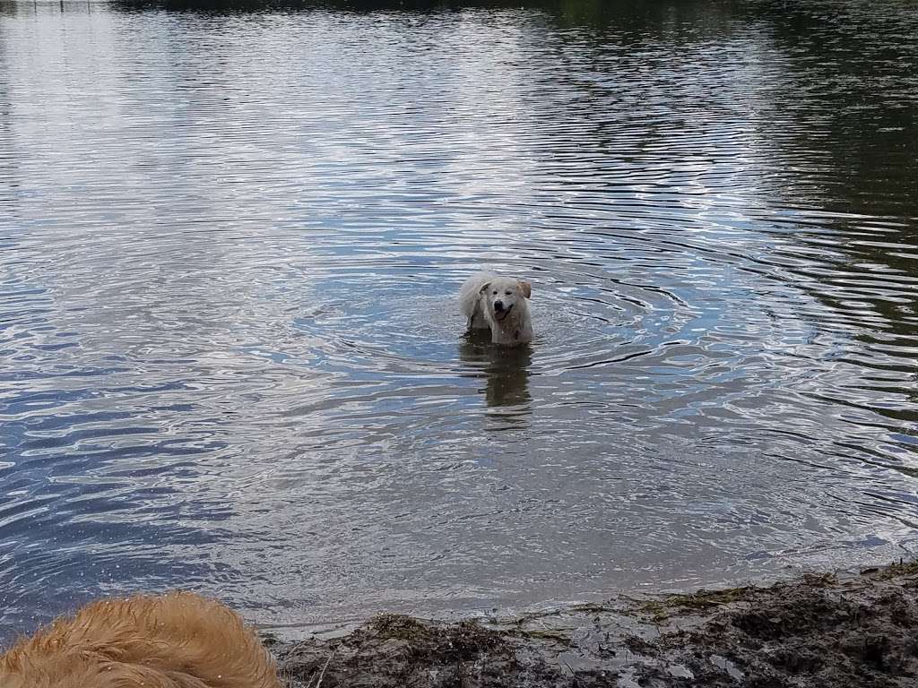 Beck Lake Off-Leash Dog Area | 9700 Gloria Ct, Glenview, IL 60025, USA | Phone: (800) 870-3666