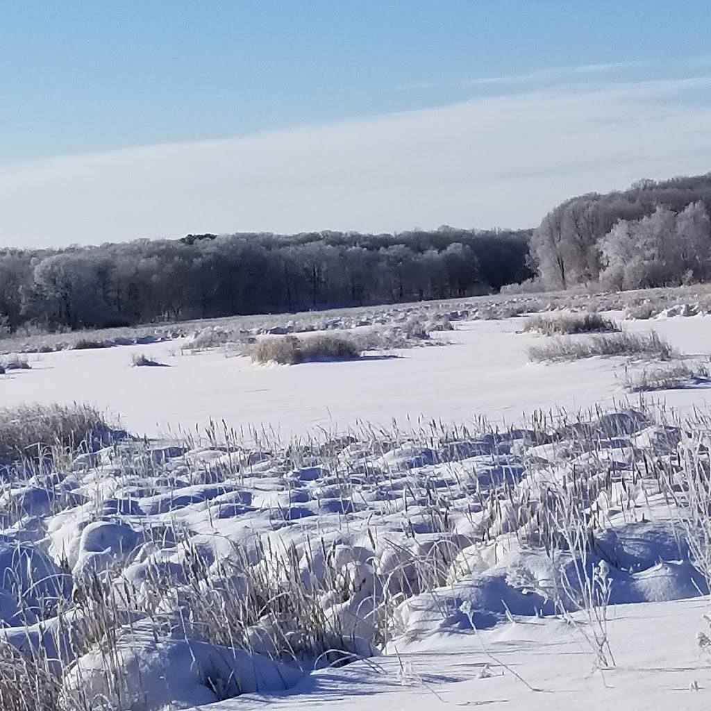 Big Marine Park Reserve | 17495 Manning Trail N, Marine on St Croix, MN 55047, USA | Phone: (651) 430-8200