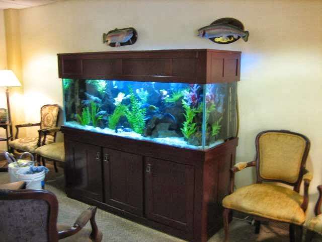 Austins Fish Tank Cleaning | 411 N Rogers St, Independence, MO 64050 | Phone: (816) 517-0312