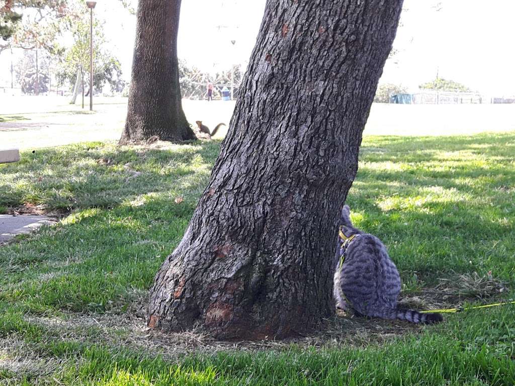 Columbia Regional Park | 4045 190th St, Torrance, CA 90504, USA | Phone: (310) 328-5310 Columbia Regional Park | 4045 190th St, Torrance, CA 90504, USA | Phone: (310) 328-5310