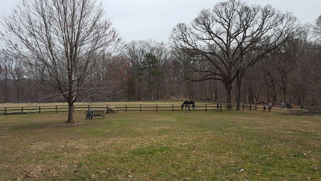 Horse Arena | Washington, DC 20008, USA