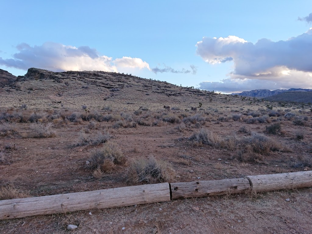 Fossil Canyon Trailhead Parking | 4053 Fossil Ridge Rd, Las Vegas, NV 89161, USA