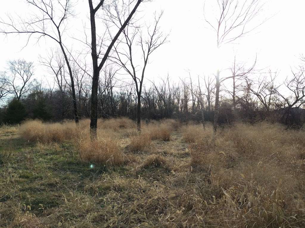 Kingman Island Trail | Kingman Island Trail, Washington, DC 20002, USA