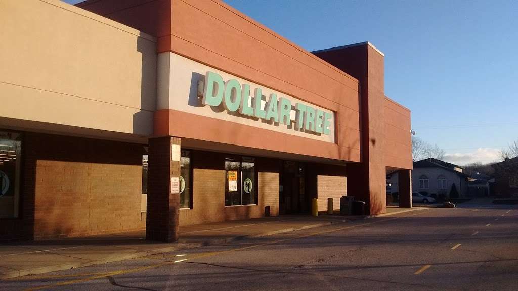 Dollar Tree | 3620 118th St ste a, Chicago, IL 60617 | Phone: (773) 646-1458