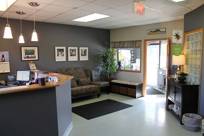 Village Veterinary Clinic | 320 Neville Dr, Grayslake, IL 60030, USA | Phone: (847) 223-5593