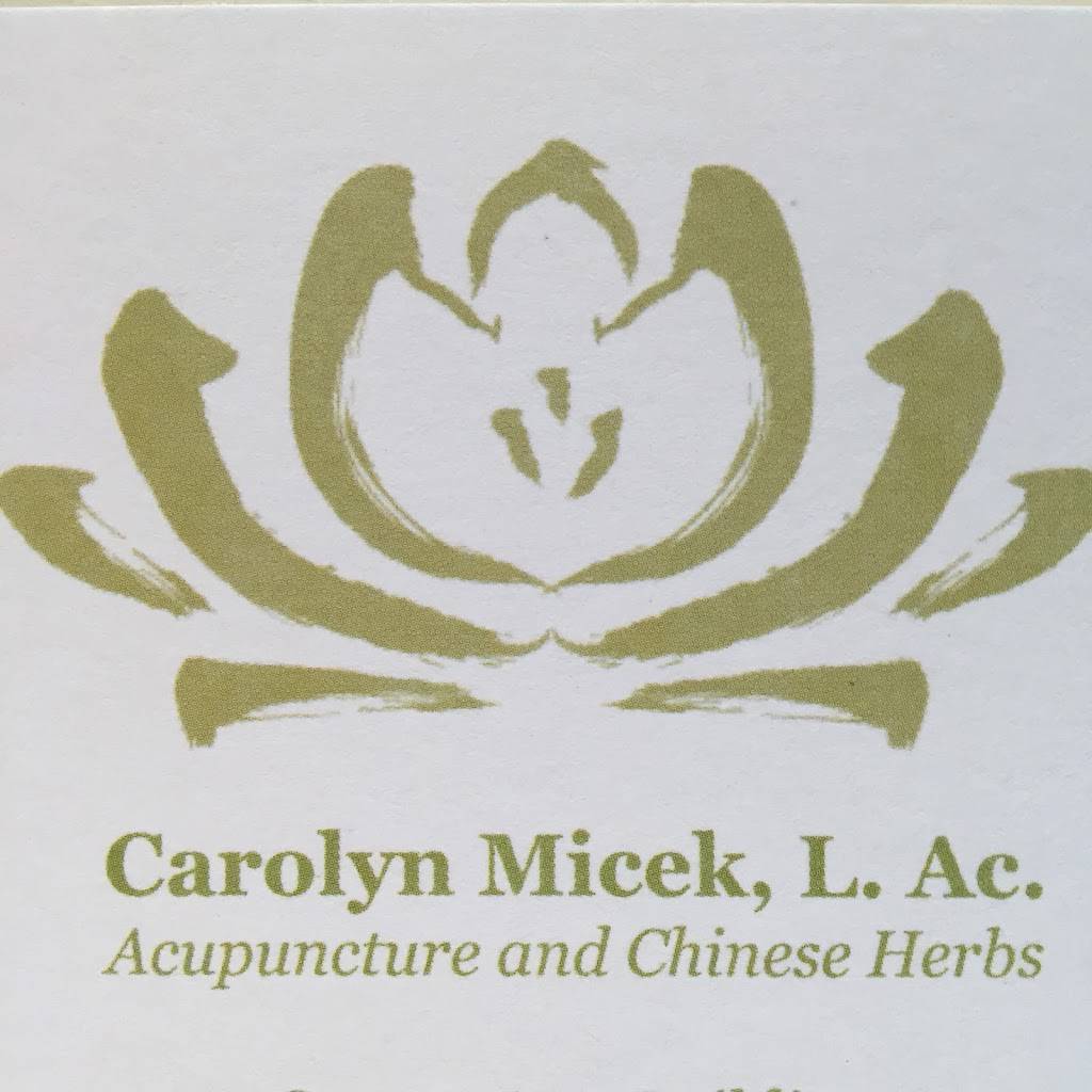 Carolyn Micek, L. Ac. | Quarry Arts Building, 715 Hill Street #130, Madison, WI 53705, USA | Phone: (608) 445-6578