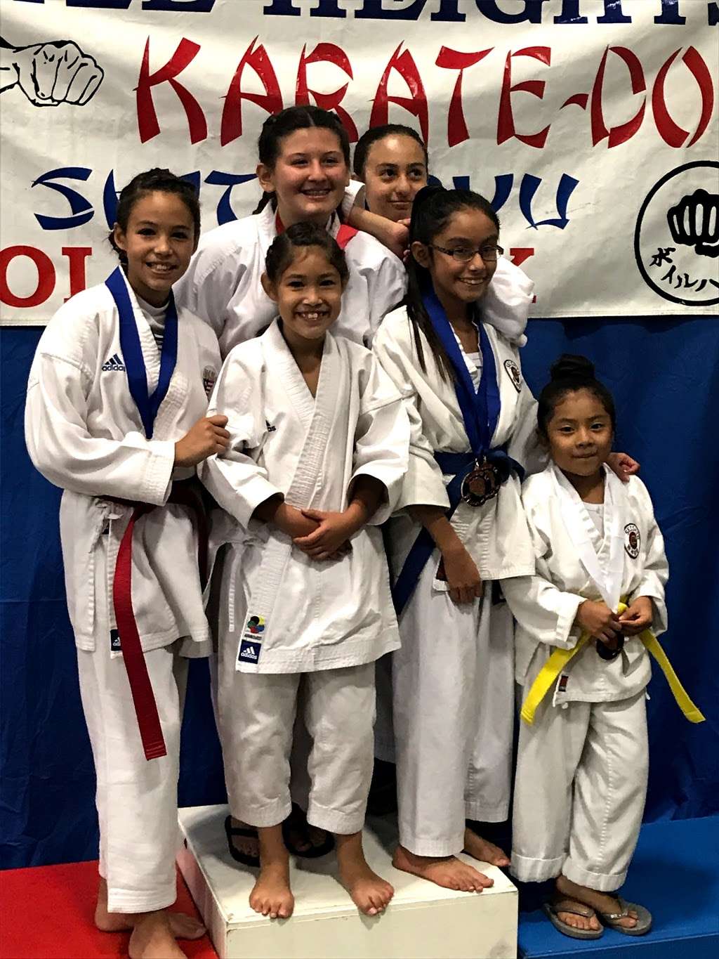 Seishin Karate Dojo | 4400 1/2 N FigueroaSt, Los Angeles, CA 90065 | Phone: (323) 919-7313