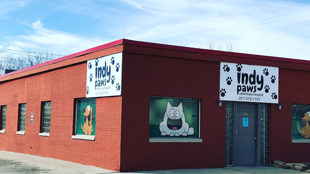 Indy Paws Veterinary Hospital | 1502 N Emerson Ave, Indianapolis, IN 46219, USA | Phone: (317) 375-1737