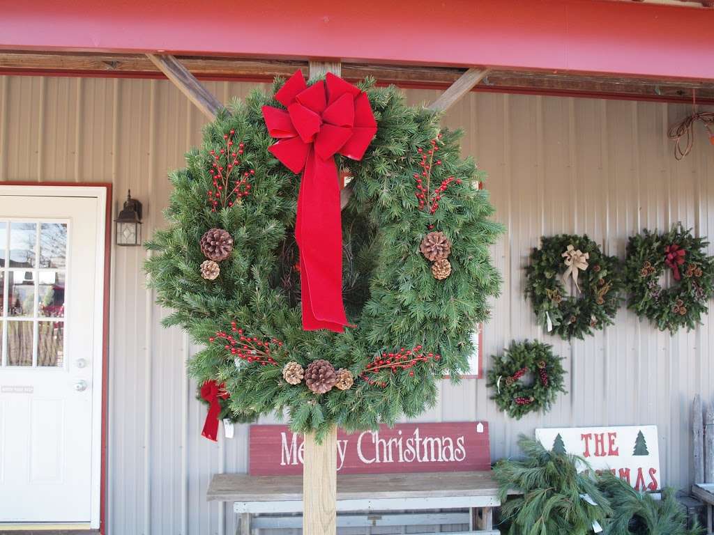 McDermotts Christmas Tree Farm LLC | 130 Roadstown Shiloh Rd, Shiloh, NJ 08353, USA | Phone: (609) 364-4137
