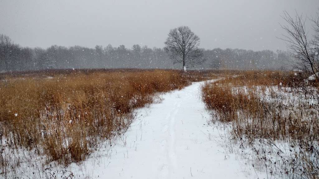 Steere Hill Glocester Land Trust Trailhead | 374 US-44, Chepachet, RI 02814, USA