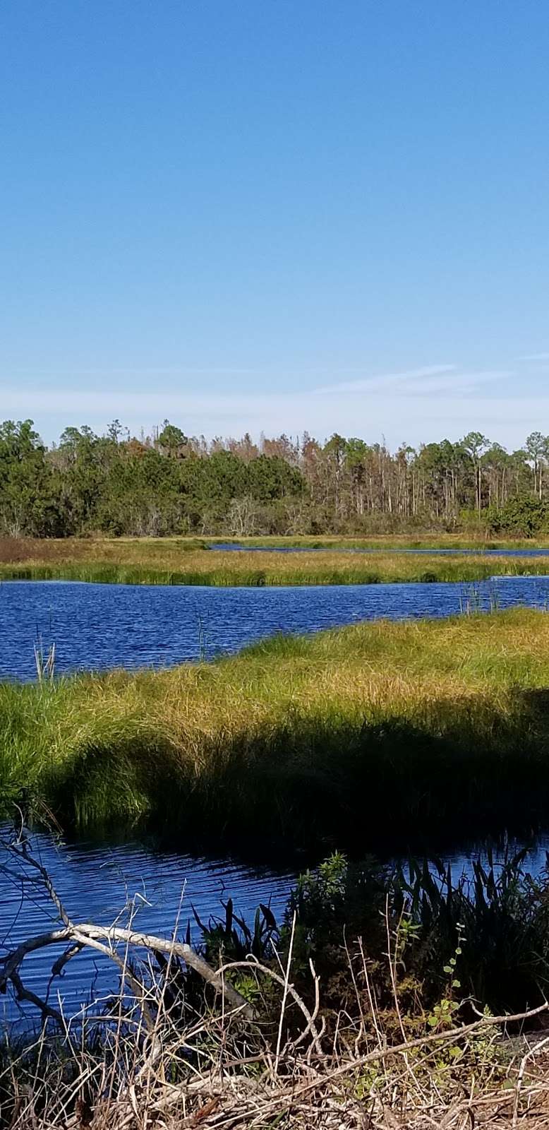 Hilochee WMA | Lake Alfred, FL 33850, USA