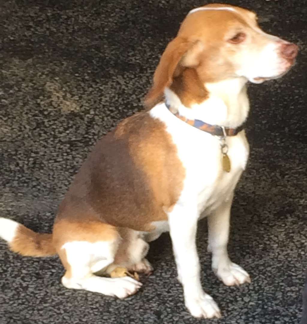 Bell Environmental Services | 229 New Rd, Parsippany-Troy Hills, NJ 07054, USA | Phone: (973) 575-7800