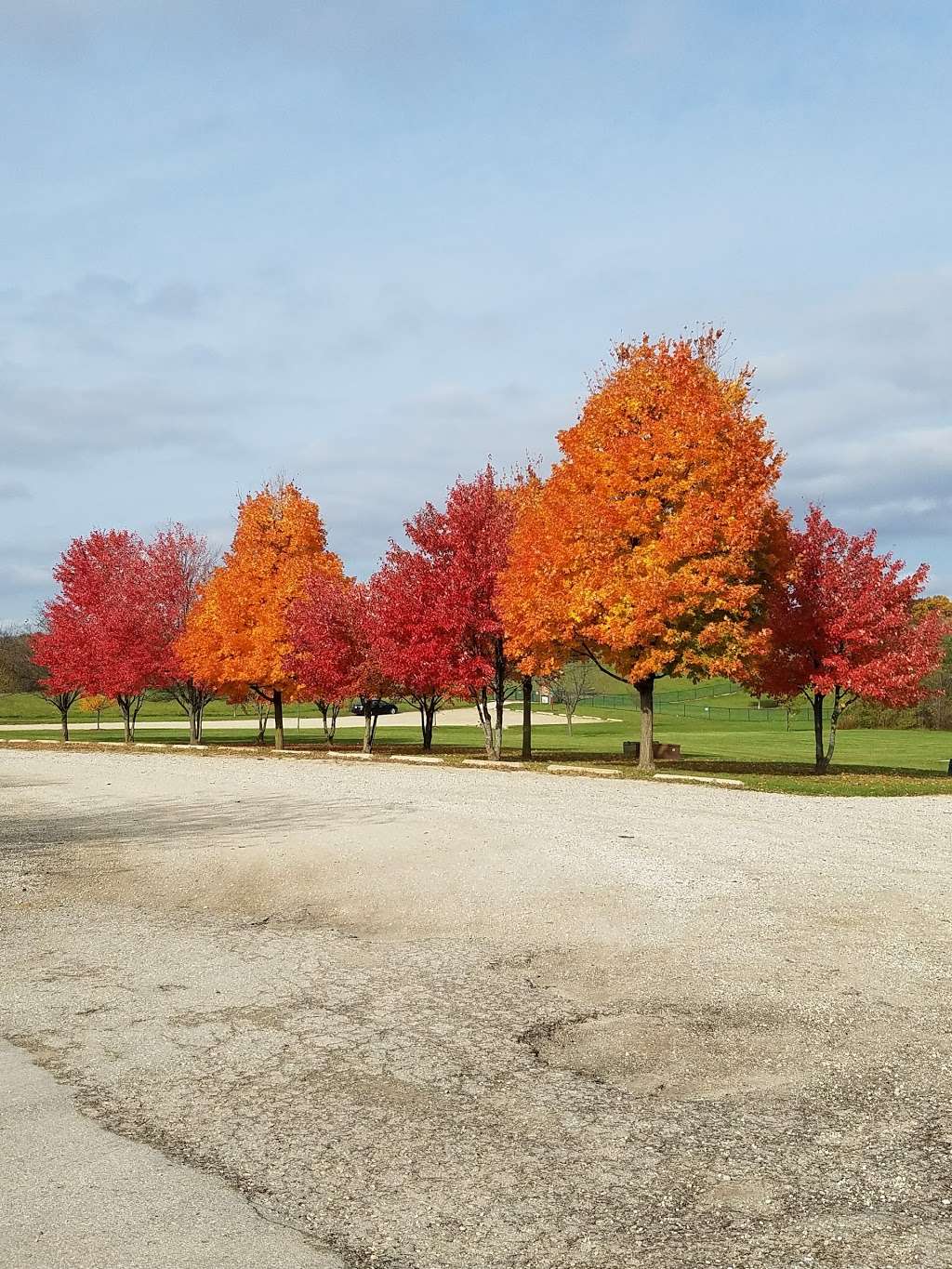 Warren Close Bark Park | 35610 89th St, Twin Lakes, WI 53181, USA | Phone: (262) 857-1869