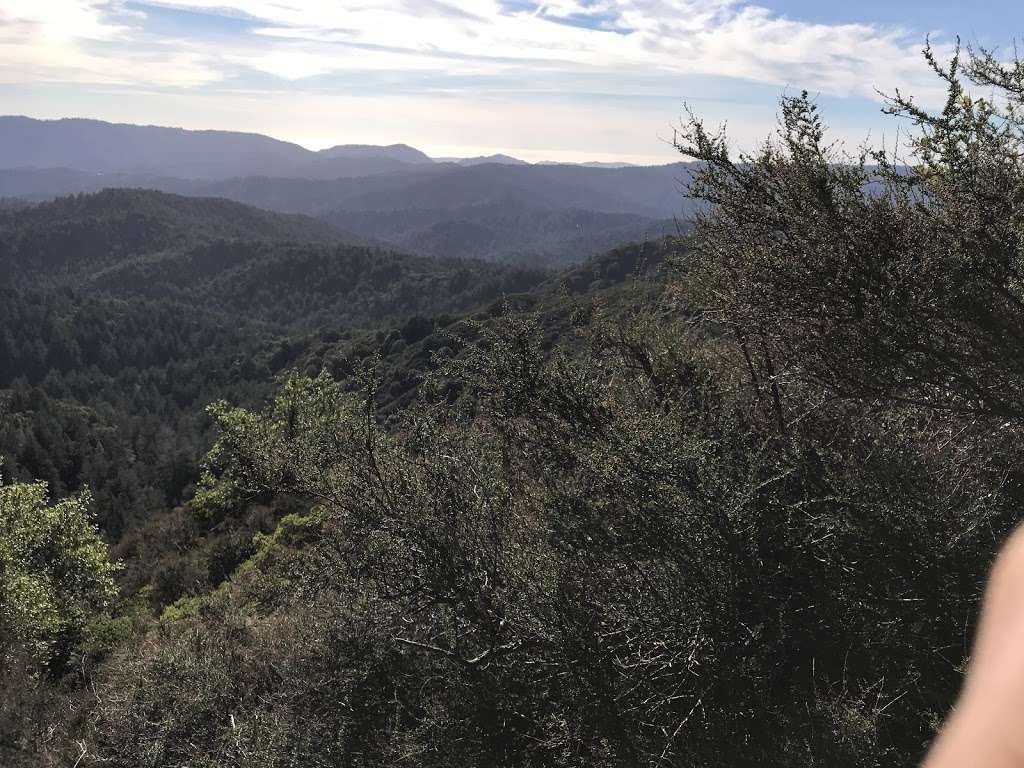 Patrick Charles Allen Memorial Grove | Saratoga Gap Trail, Los Gatos, CA 95033