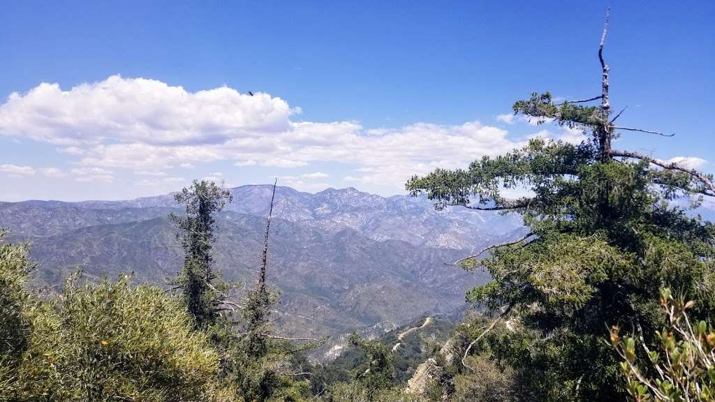 Rim Trailhead | Rim Trail, Mt Wilson, CA, USA