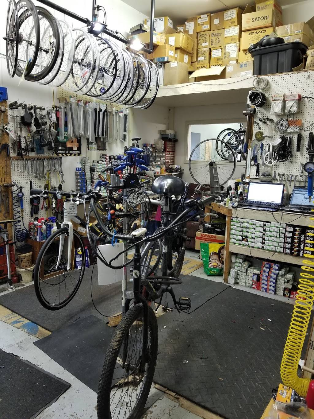 Steves Place Bicycles & Repair | 181 Niagara Blvd, Fort Erie, ON L2A 3G7, Canada | Phone: (905) 871-7517