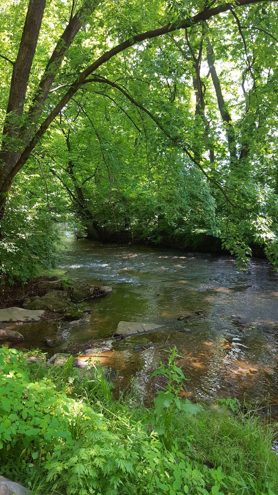 Cacoosing Meadows Park in 1049 Reedy Rd, Sinking Spring, PA 19608, USA