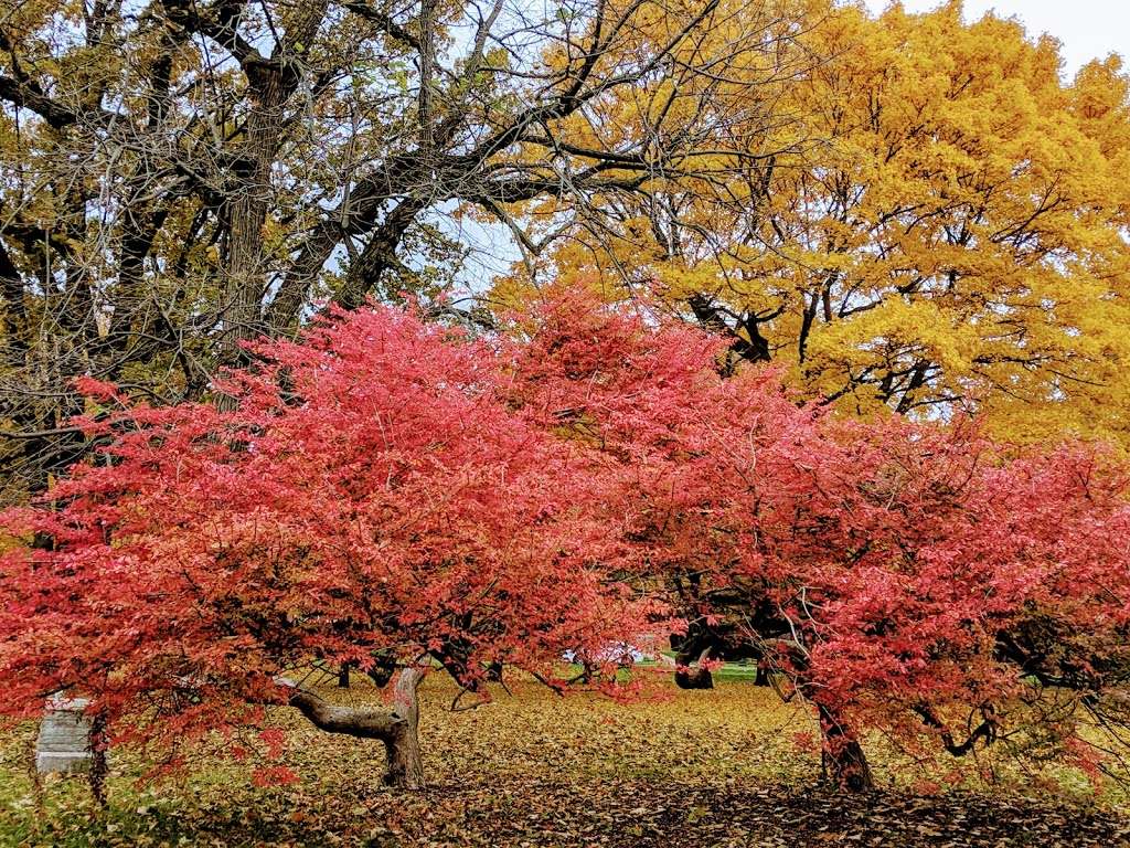 Clark Square Park | Clark Square Park, Evanston, IL 60202, USA | Phone: (847) 448-4311