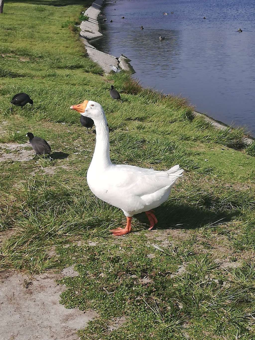 Magic Johnson Park | 905 E El Segundo Blvd, Los Angeles, CA 90059, USA | Phone: (310) 603-8307